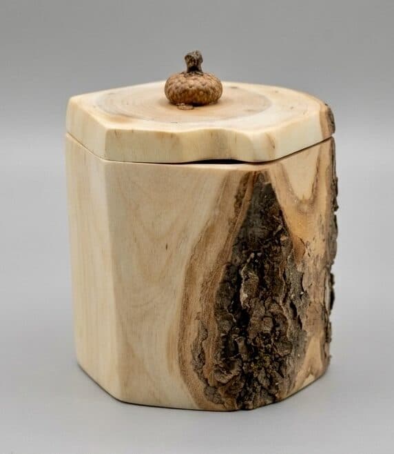 A lidded canister with the bark of the trunk left intact down one side, finished with a small turned acorn for a finial.