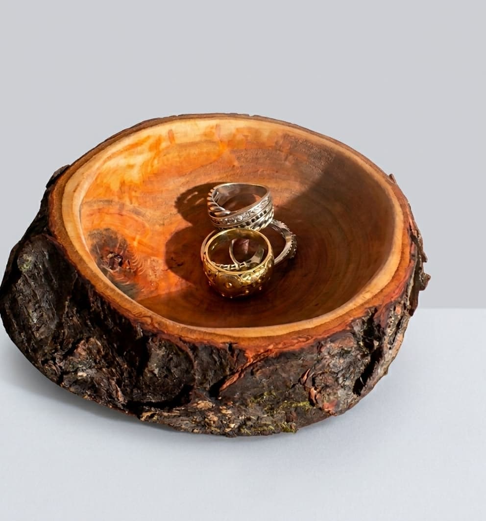 A small bark-edge dish lifted from a cherry round, the dark furrowed bark left intact around a deep amber well.